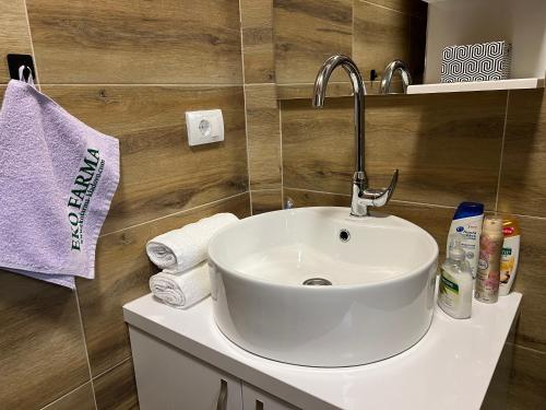 a bathroom with a white sink in a room at Eko farma Kladovo in Kladovo