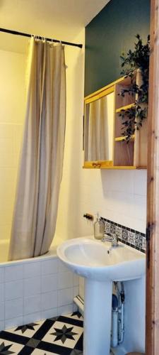 une salle de bain avec un lavabo et un rideau de douche dans l'établissement Le Duplex du Centre - Idéal pour un séjour détente !, à Saint-Savinien
