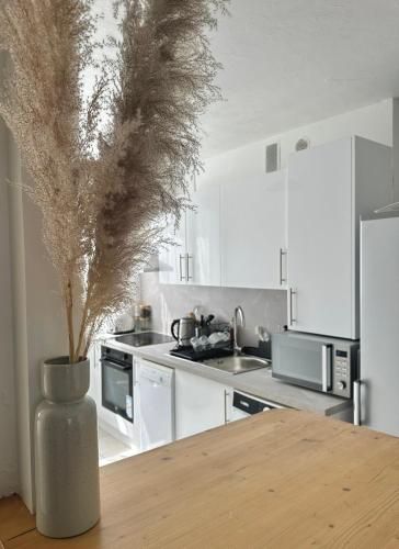 une cuisine avec un vase et une plante. dans l'établissement Charmant & Cosy T2 near Airport, à Longjumeau
