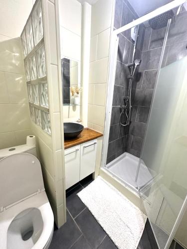 une salle de bain avec une douche, des toilettes et un lavabo dans l'établissement Charmant & Cosy T2 near Airport, à Longjumeau