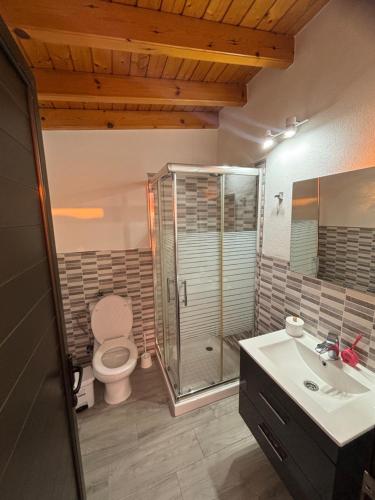 a bathroom with a toilet and a shower and a sink at CASITA LAS VISTAS in Frontera