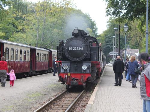 a steam engine train pulling into a train station with people at Spacious Family Haven in Kröpelin in Kröpelin