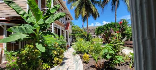 Vườn quanh Caye Caulker Boutique Guesthouse 7