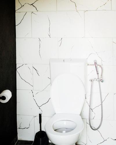 a white bathroom with a toilet and a shower at Holiday House Maya in Mostar