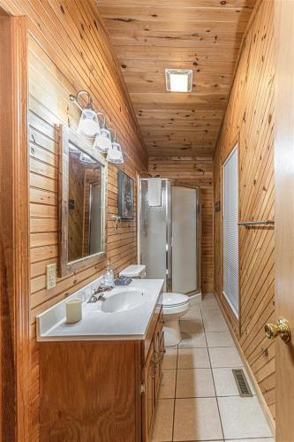 a bathroom with a sink and a toilet and wooden walls at Diamond Creek Cabin in Bryson City