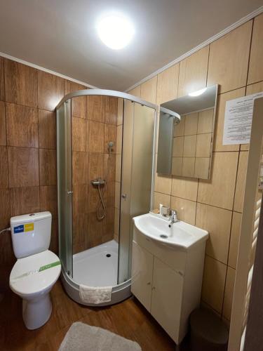 a bathroom with a shower and a toilet and a sink at Casa Sofia Dorna Candrenilor in Dorna Cîndrenilor