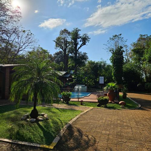 a garden with a palm tree and a swimming pool at Cabañas Rincon Santa Maria in Puerto Iguazú