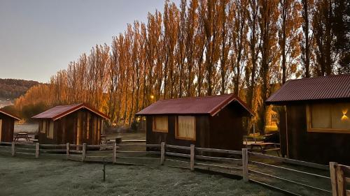 a group of huts in a field next to trees at TRAVELLERS Camping & Dorms in San Martín de los Andes