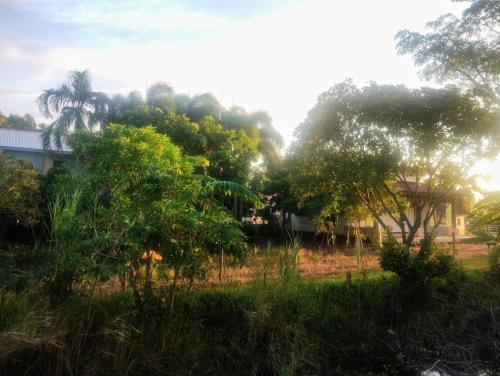 a field with trees and a house in the background at Baan Chomchan - Thale Noi บ้านพักชมจันทร์ in Ban Khuan Phanang Tung (1)