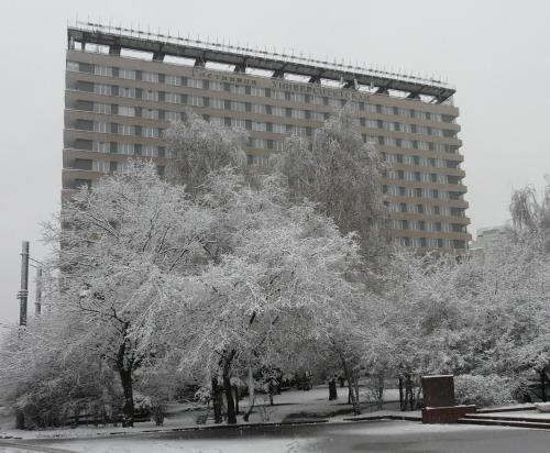 a large tree in the middle of a city at Universitetskaya Hotel in Moscow