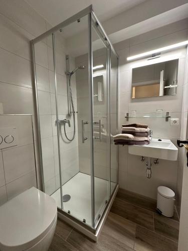 a bathroom with a shower and a toilet and a sink at Gästehaus Deml in Berchtesgaden