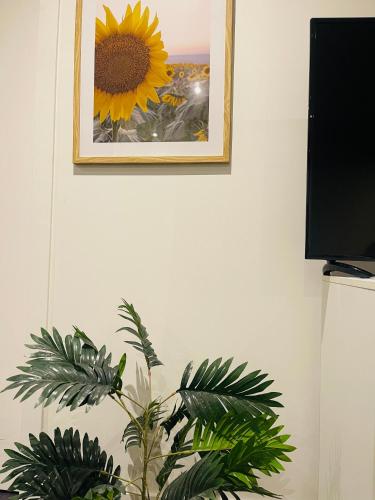 a picture of a sunflower on a wall with a plant at Southbank Hidden Gem in Melbourne