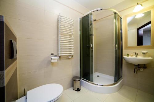 a bathroom with a toilet and a sink and a shower at Mùlk Chëcz Kaszëbsko in Miszewko