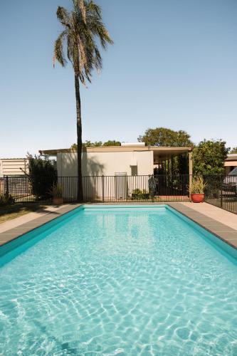 a swimming pool with a palm tree in the background at Wagon Wheel Motel in Cloncurry