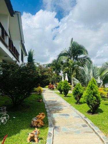 Taman di luar Cattleya tropical