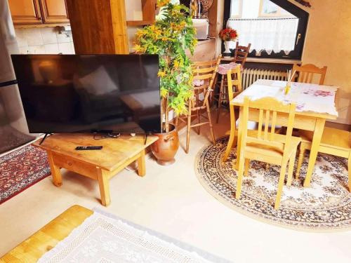 Μια τηλεόραση ή/και κέντρο ψυχαγωγίας στο Calm located Penthouse near Nürnberg
