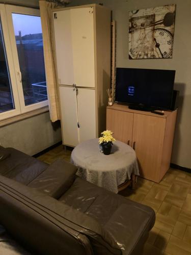TV a/nebo společenská místnost v ubytování Gezellige studio in centrum Mol
