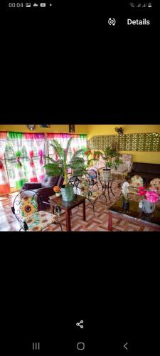 a picture of a living room with tables and plants at Roses Place in Brown Hill Village