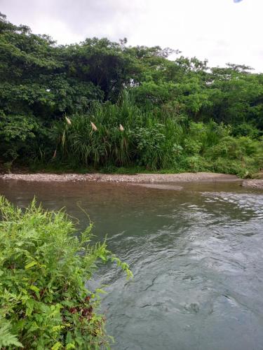 a body of water with trees and a river at Roses Place in Brown Hill Village