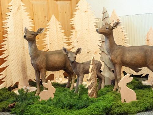 Animales en el apartamento o alrededores