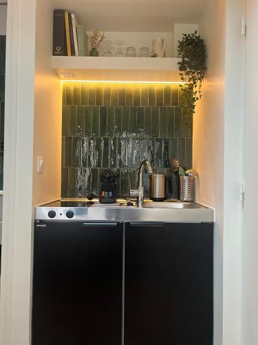 une cuisine avec un évier et une cuisinière dans l'établissement Saint Jacques Luxembourg, à Paris