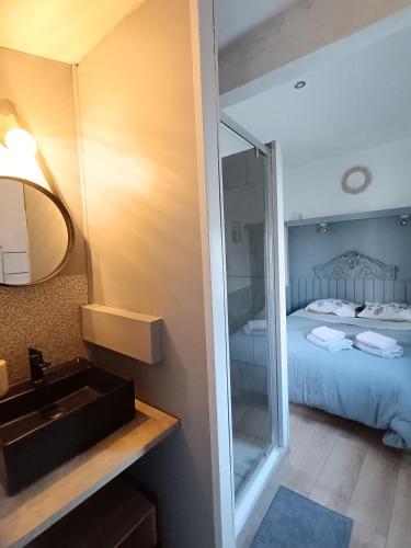 ein Bad mit einem Spiegel, einem Waschbecken und einem Bett in der Unterkunft Logement pour 2 personnes proche Bordeaux in Le Haillan