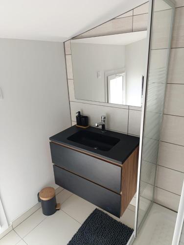 une salle de bain avec un lavabo et un miroir dans l'établissement Maison Duplex, à Pierrelatte