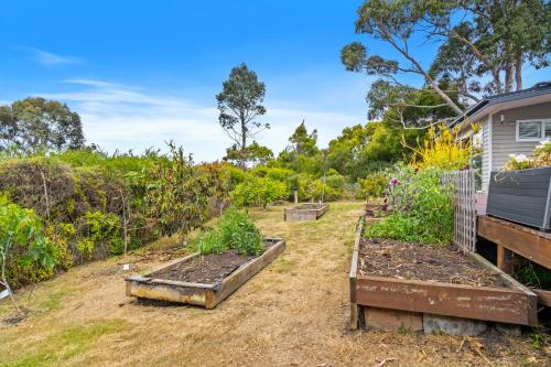 a garden with three raised beds of plants at Sea views at Spring Beach Tasmanias East Coast in Spring Beach