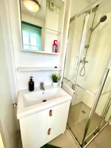 a bathroom with a sink and a shower at Wellness bungalow with jacuzzi &sauna&private garden near Amsterdam in Vijfhuizen
