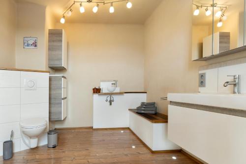 a bathroom with a toilet and a sink at Ferienhaus Zur alten Linde in Schmißberg