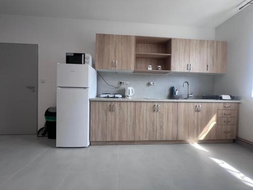 a kitchen with a white refrigerator and wooden cabinets at Ubytování Zátiší 3 Olomouc in Olomouc