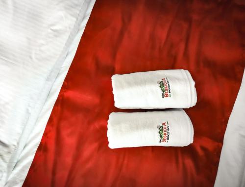 Gallery image of Beskidia - Noclegi w Beskidach in Roczyny