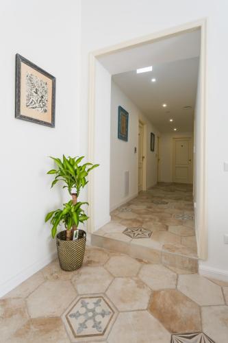 Casa Mancini By DomusExtra photo 34