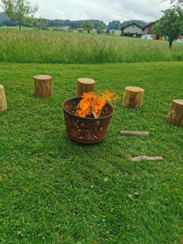 a flower pot sitting on the grass in a field at Sunnhof in Oberhofen am Irrsee