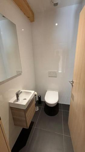 a white bathroom with a toilet and a sink at Magnifique villa d'architecte vue sur le lac Léman in Anthy