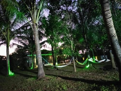 a hammock in a park with palm trees at night at Saka kadams home stay in Guhagar