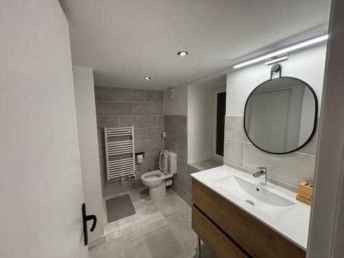 une salle de bain avec toilettes, lavabo et miroir dans l'établissement Studio au cœur de Millau, à Millau
