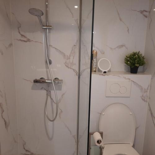 a shower stall with a toilet in a bathroom at Carpe Diem in Resteigne
