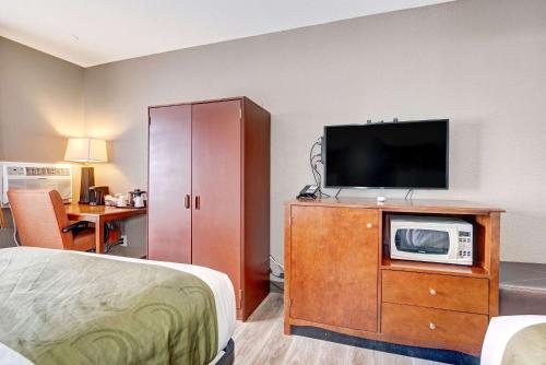 a room with a bed and a television on a dresser at Quality Inn near Mesa Verde in Cortez