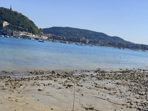 a group of birds on a beach near the water at Aitzkorri Zegama in Arrietas
