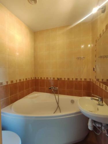 a bathroom with a tub and a sink at Z widokiem na Giewont in Kościelisko