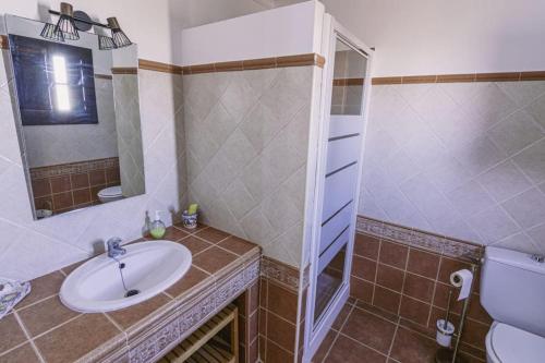 a bathroom with a sink and a toilet and a mirror at Finca Campo Alegre in Utrera
