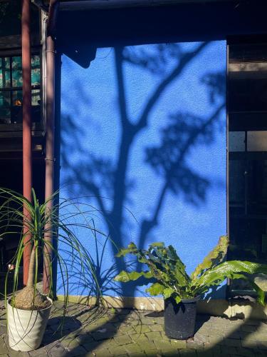 Taman di luar 泊まれる廃墟 ぐんじょう