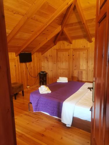 a bedroom with a bed in a wooden room at Konstantinou & Elenis in Monodendri