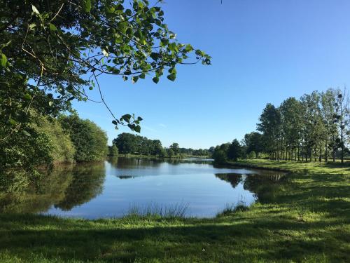 a view of a river with trees and grass at La Ruche, Chaillac in Chaillac