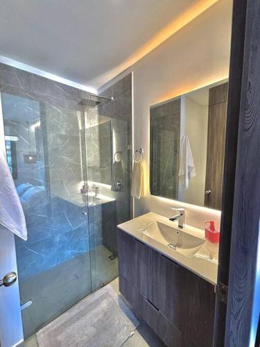 une salle de bain avec un lavabo et une douche en verre dans l'établissement Luxury loft en el Parque Virrey, à Bogotá
