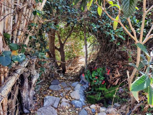 a garden with trees and rocks and a trail at Rivendell Eco lodge in El Paso