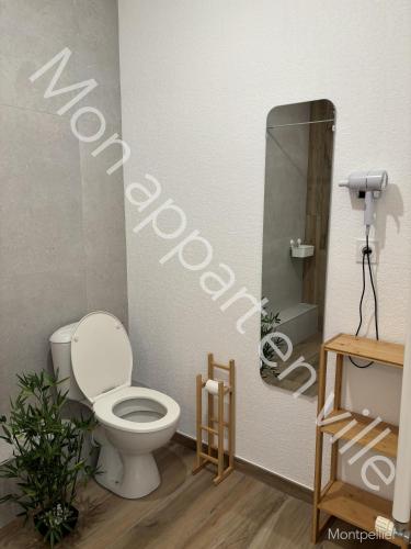 une salle de bain avec toilettes et miroir dans l'établissement Mon Appart en Ville, à Montpellier