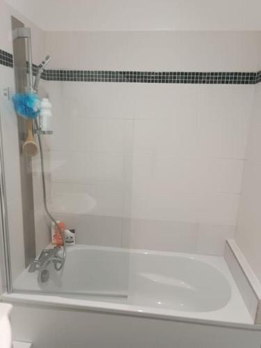 La salle de bains est pourvue d'une douche et d'une fenêtre en verre. dans l'établissement appartement gare Montluçon, à Montluçon