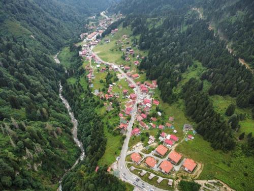 an aerial view of a village in a forest at Ayder Altıparmak Suit in Ayder Yaylasi